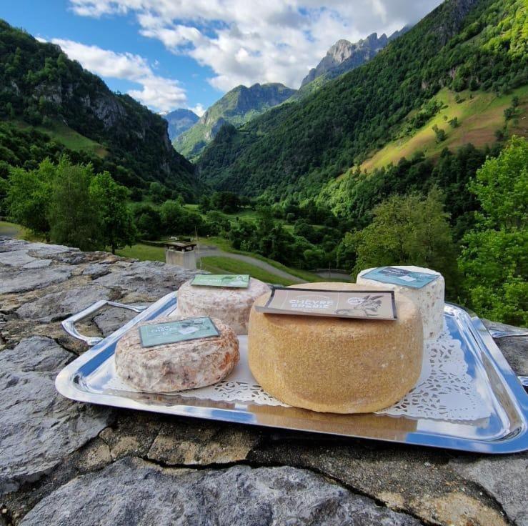 Chateau D'Arance Hotel Restaurant Espace Bien-Etre Cette-Eygun Exteriér fotografie